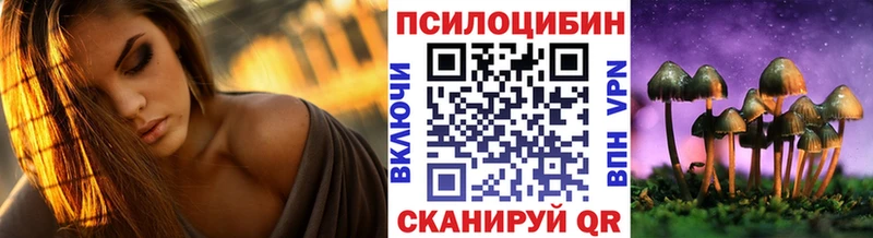 Купить закладки  Медынь  Псилоцибиновые грибы Magic Shrooms 