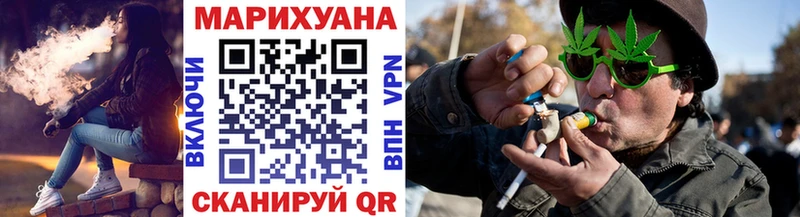 Купить где  Медынь  Конопля семена 